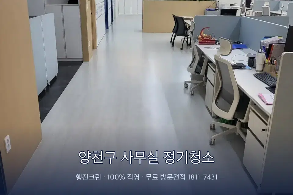 양천구 사무실 정기청소 사무실 화장실 세면대 살균 작업